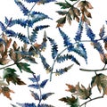 Blue fern leaves. Leaf brake plant botanical garden floral foliage. Seamless background pattern. Royalty Free Stock Photo