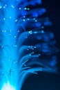 Blue fiber optic. Royalty Free Stock Photo