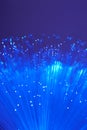 Blue Fiber Optic Royalty Free Stock Photo