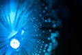 Blue fiber optic. Royalty Free Stock Photo