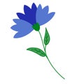 Blue fictional flower cornflower leaf. Cute delicate carnation flower, clip-art isolate