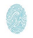Blue fingerprint lines on white, detailed biometric pattern showing unique identity. Security and forensic analysis