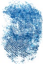 Blue fingerprint on white. Security item illustration