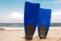 Blue fins standing in sand on beach at seashore. Sun shining bright. Paradise outside. Royalty Free Stock Photo