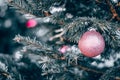 Blue fir decorated with pink glitter bauble close up. Royalty Free Stock Photo