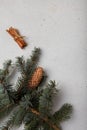 Blue fir tree branch with big cone and cinnamon sticks on white wooden background. Christmas blank card, copy space, vertical shot Royalty Free Stock Photo