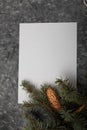 Blue fir tree branch with big cone on grey and white wooden background. Christmas blank card, copy space, vertical shot Royalty Free Stock Photo