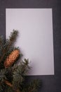 Blue fir tree branch with big cone on grey and white wooden background. Christmas blank card, copy space, vertical shot Royalty Free Stock Photo