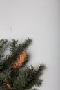 Blue fir tree branch with big cone on white wooden background. Christmas blank card, copy space, vertical shot Royalty Free Stock Photo