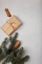 Blue fir tree branch with big cone, wrapped present box and cinnamon sticks on white wooden background. Christmas blank card, copy Royalty Free Stock Photo