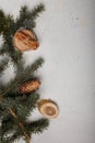 Blue fir tree branch with cone, wooden cut and cinnamon sticks on white wooden background. Christmas card, copy space, vertical Royalty Free Stock Photo