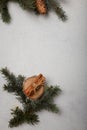 Blue fir tree branch with cone, wooden cut and cinnamon sticks on white wooden background. Christmas card, copy space, vertical Royalty Free Stock Photo