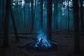 A blue fire burns in a dark forest Royalty Free Stock Photo