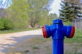 A blue fire hydrant standing at the edge of the road