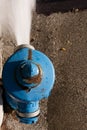 Blue fire hydrant Royalty Free Stock Photo
