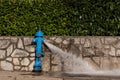 Blue fire hydrant Royalty Free Stock Photo