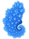 Blue fire peacock feather Royalty Free Stock Photo