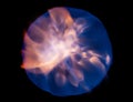 Blue fireball