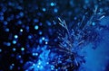 blue firework explosion on black background Royalty Free Stock Photo