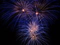 Blue Firework trails Royalty Free Stock Photo