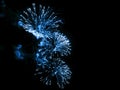 Blue Fireworks, salute. With the black sky background . Abstract holiday backgrounds