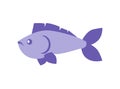 Blue Fish Vertebrate Animal Vector Illustration