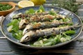 Blue fish roasted pilchard on green table background Royalty Free Stock Photo