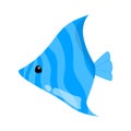 Blue fish scalar. Marine creature. Underwater life