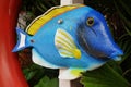 Blue fish Royalty Free Stock Photo