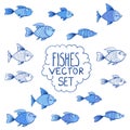 Blue fishes vector set or collection