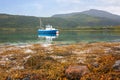 Blue fishing boat in a crystal clear turquoise shallow fjord in Lofoten Royalty Free Stock Photo