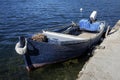 blue fishing boat over dark water and aquatic plants. Ston, Croatia