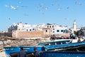 Blue Fishing boats and seagull in Essaouira - Morocco