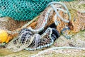 Blue fishing net on a pontoon with its ropes and floats covered with morning frost Royalty Free Stock Photo