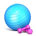 Blue fitness ball and pink weights 3D