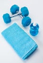 Blue Fitness Gear