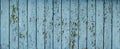 Blue flaky paint on a old weathered wooden fence. Vintage wood background. Peeling paint flakes. Old weathered wooden