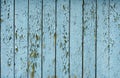 Blue flaky paint on a old weathered wooden fence. Vintage wood background wall. Peeling paint flakes. Old weathered