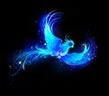 Blue flame bird on black background Royalty Free Stock Photo