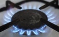 Blue flame. Burning gas in the burner on the stove close-up Royalty Free Stock Photo