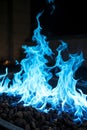 Blue fire flames. Blue flames of fire background texture Royalty Free Stock Photo