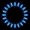 Blue flames of gas burner