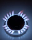 Blue flames of natural gas burning from a gas stove Royalty Free Stock Photo