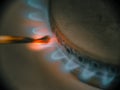 Blue flames of propane burner ignite match