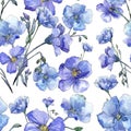 Blue flax. Floral botanical flower. Wild spring leaf wildflower pattern. Royalty Free Stock Photo