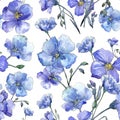 Blue flax. Floral botanical flower. Wild spring leaf wildflower pattern. Royalty Free Stock Photo