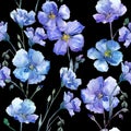 Blue flax. Floral botanical flower. Wild spring leaf wildflower pattern. Royalty Free Stock Photo