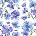 Blue flax. Floral botanical flower. Wild spring leaf wildflower pattern. Royalty Free Stock Photo