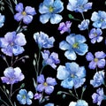 Blue flax. Floral botanical flower. Wild spring leaf wildflower pattern. Royalty Free Stock Photo