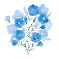 Blue flax flowers